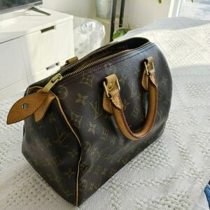 Louis Vuitton Speedy 25 Handbag